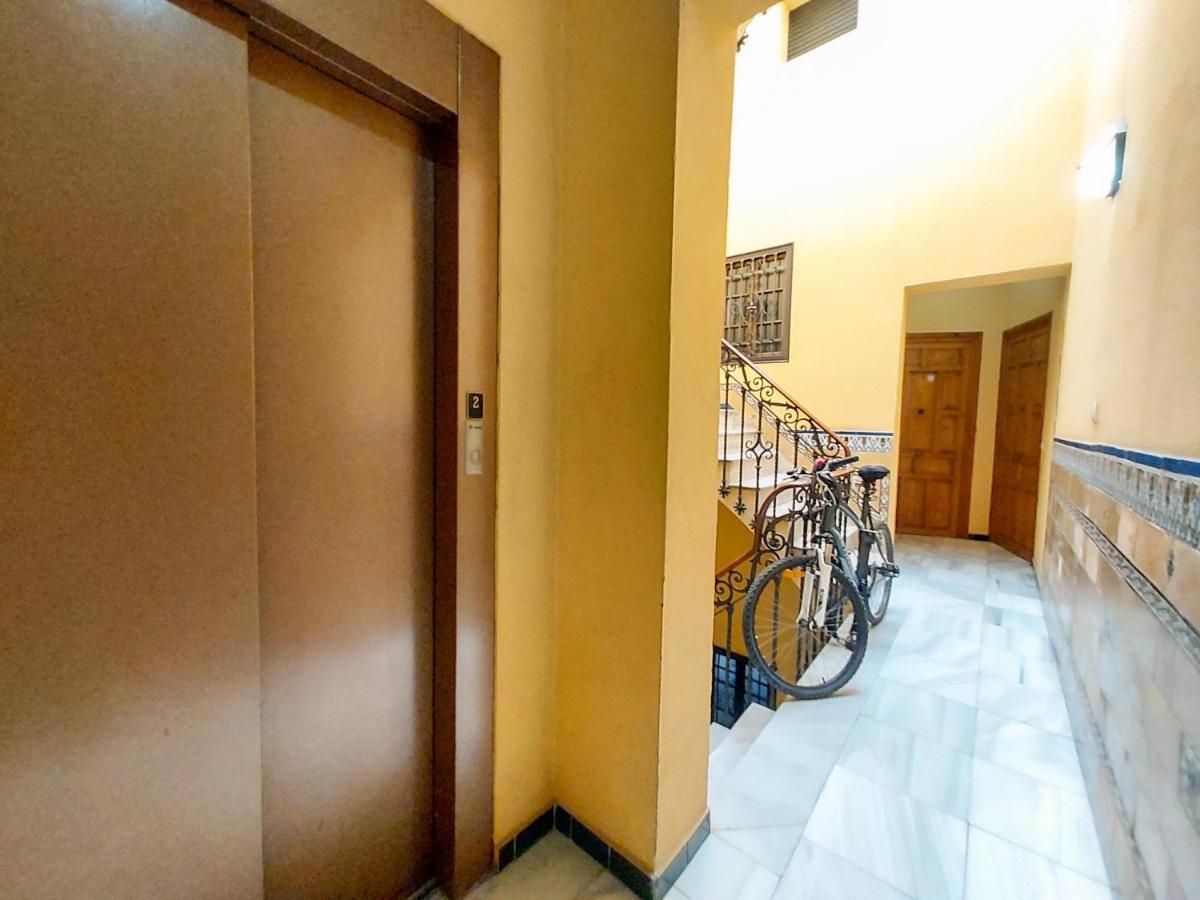 Apartamento Alameda Calatrava Sevilla Dış mekan fotoğraf